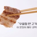 일차고기 이미지