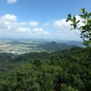 새(화산)2 이미지