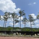 추풍령(서울)휴게소 이미지