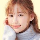 단델리온 이미지