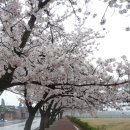 신라초등학교 이미지