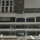 야옹아 멍멍해봐(에코시티점) 이미지