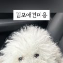 살롱드도만 이미지