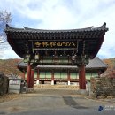 칠곡 송림사 오층전탑 | {경북 칠곡군} 천년고찰 팔공산 송림사 가을풍경