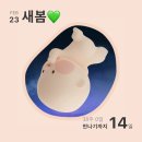 보은군보건소 | 8. [36~38주] 곧 만나자, 새봄아! + 새봄이 지구별 도착