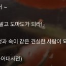 도마도마도 이미지