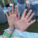 솔로몬뮤직파크노래연습장 | [파크뮤직 페스티벌] PARK MUSIC FESTIVAL 2024 후기