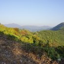 산성 이미지