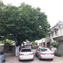 백안경로당 이미지