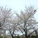 한국OA솔루션
