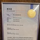 1346 | 인계동맛집ㅣPPK키친 수원본점 피자 파스타 솔직후기 반려견동반식당