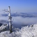 종합운동장(0999) 이미지