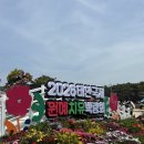 우상푸드 | 태안국제원예치유박람회 솔직후기 🌸 티니핑 가든부터 바다 깡통버스까지 (준비물 필수)