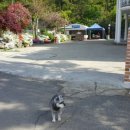 꾸지나무골 행복한 하우스 이미지