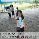캠핑트리 이미지