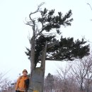 가람 이미지