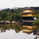 유미주의 이미지