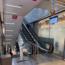 롯데백화점 구리점 | 해피베어데이 롯데백화점 구리점｜구리 레터링케이크, 구리케이크 픽업 후기 + 버터떡·두쫀쿠