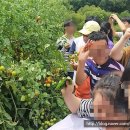소울터보호작업장 이미지