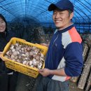 김남형농장 이미지