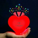 고와요 Daum카페