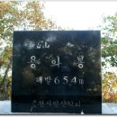 비선식당 이미지