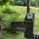 지리산천왕봉야영장 | 지리산 백무동-천왕봉 야영장&amp;등산 코스 5.26금-28일 후기와 산행정보 실소요시간 기록