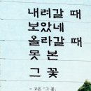 고은;꽃 이미지