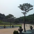 모미랑 이미지