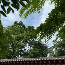 차홍룸 여의도점 원장 박지수의 휴무이야기! (Feat. 서순라길 비틀스타코 후기)