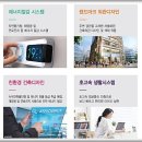 동도마트