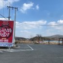조선장어 이미지