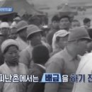 개판오분전 이미지