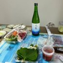 최우영수산 | 배달 횟집 유목민 주목! 반값에 즐긴 최우영수산 솔직 후기 (형제상회랑 전격 비교!)