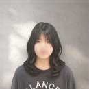 볼륨헤어