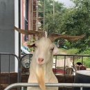 자연아놀자박물관 이미지