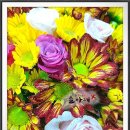 뜰아래플라워 이미지