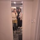 일요일 | 2025 피크페스티벌 일요일 후기