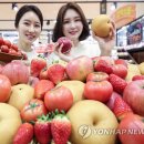더달콤한과일 이미지