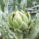 은자농장 이미지