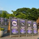 2025 world DJ festival 1일 후기