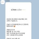 종려나무사진관 | 좋은 영화를 보면 - ft. '퍼펙트 데이즈'