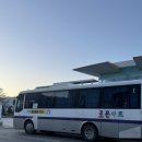 남이섬 봄펜션 | 가평 펜션 추천 리플렉스 풀빌라 | 대중교통 이용 , 개별바베큐, 수영장 이용 후기