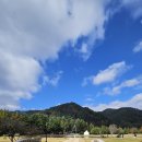 호텔 와우 | [ep.2]켄싱턴평창호텔 근처 식당 와우 대관령한우 켄싱턴조식 후기 동물먹이주기체험까지