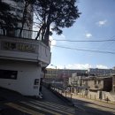 대주아파트 상가동 | 응암동 강아지 셀프목욕(무인애견강아지셀프목욕) 내돈내산 후기