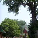 이화유치원 이미지