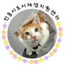 안동온사람들 이미지