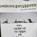 향남전단배포 [슈베르티아데 클래식 실용음악학원] - 전문적이고 체계적인 레슨