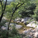 창녕 남지 개비리 | 창녕 남지 개비리 방문 후기: 자연 속의 소중한 시간