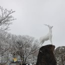 제주도 1100고지 도로 한라산 실시간 CCTV, 주차장 정보